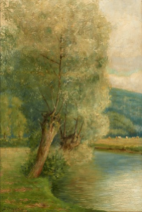 [Les saules ttards au bord de la rivire]
