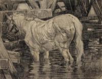 [Paard in het wed (1896-