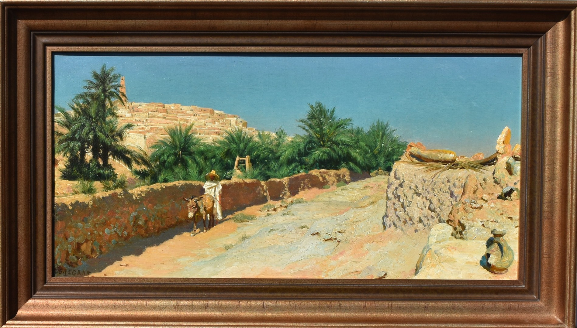 Ezeldrijver in Mzab, Algerije 2
