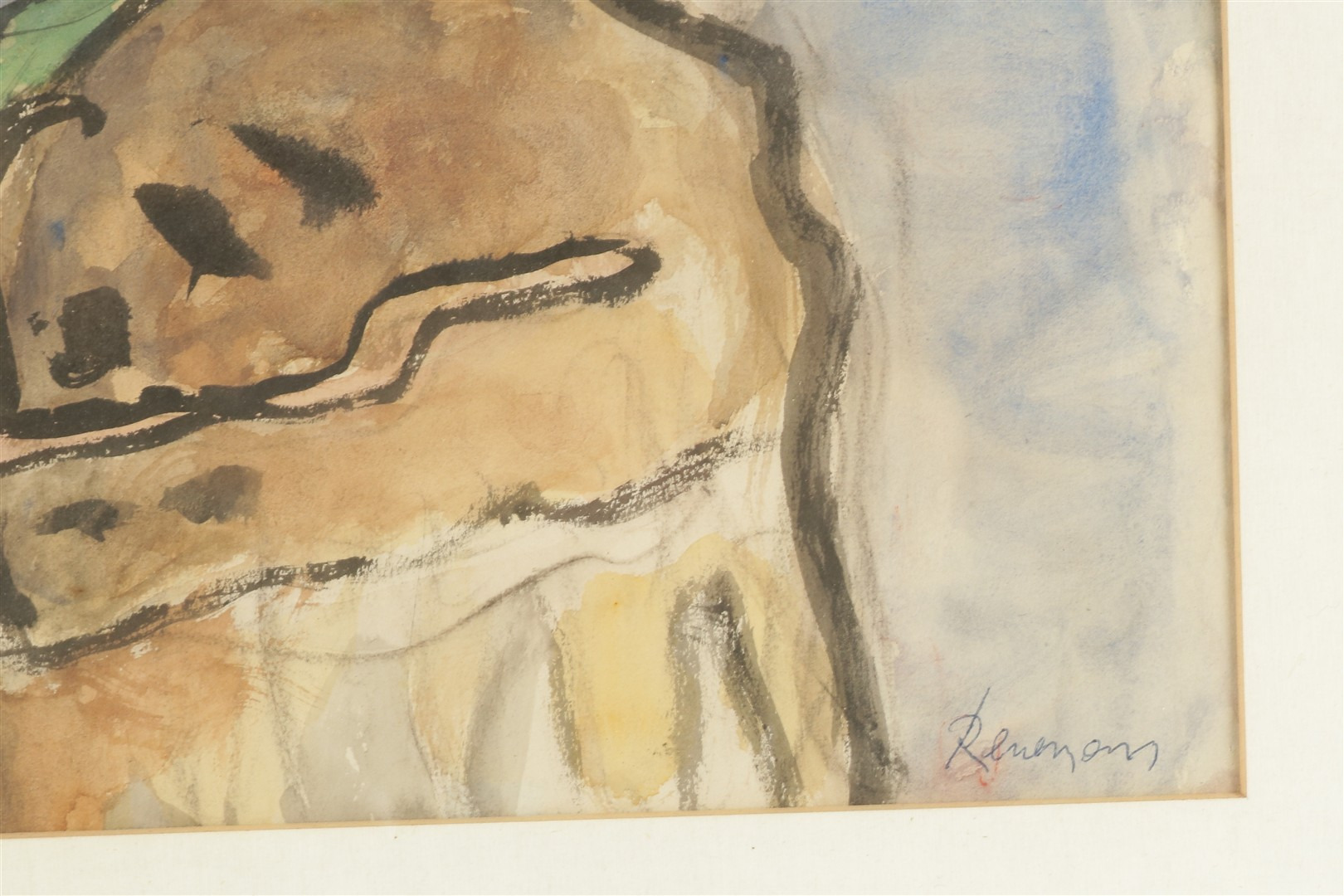 Condor (Andes) 2