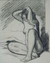 [Naaktstudie]