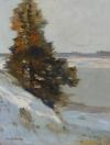 [Sneeuwlandschap]