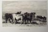 [Landschap met vee (naar J.H.L. de Haas)]